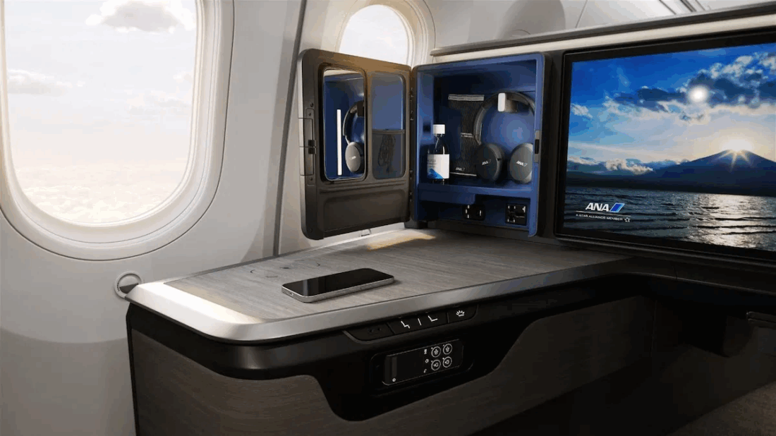 ANA 789 The Room FX Business Class iv