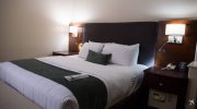 Best Western Houston Downtown