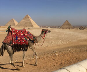 Cairo Camel Pyramids