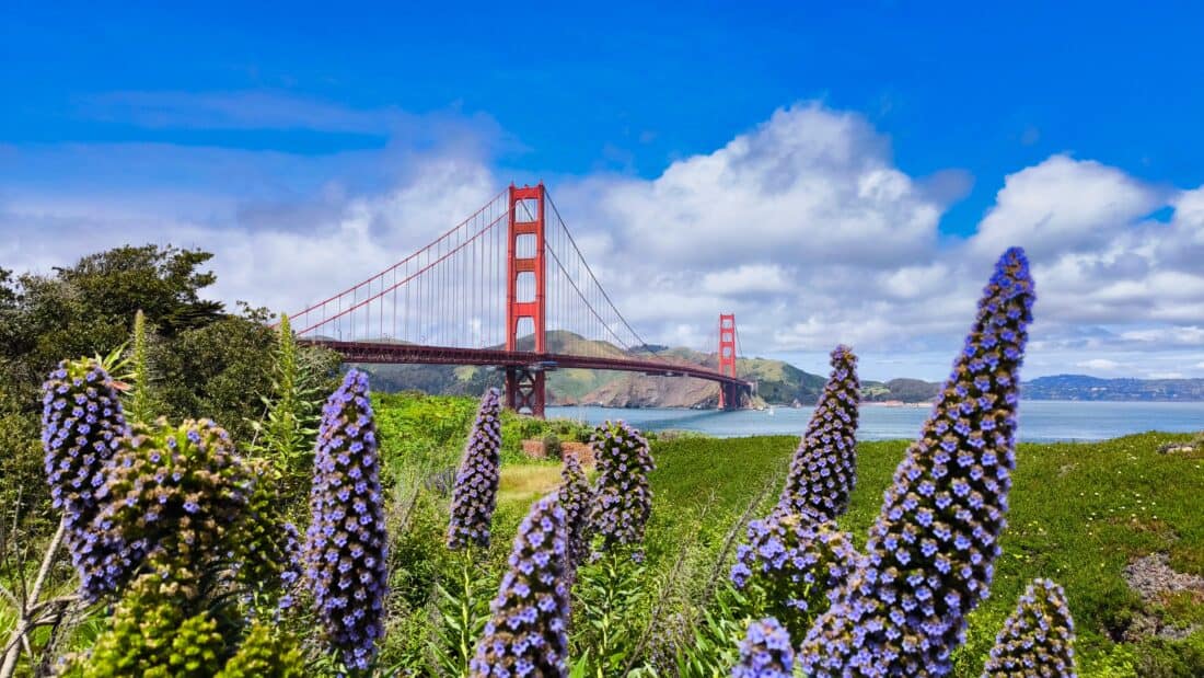 Golden Gate Bridge San Francisco