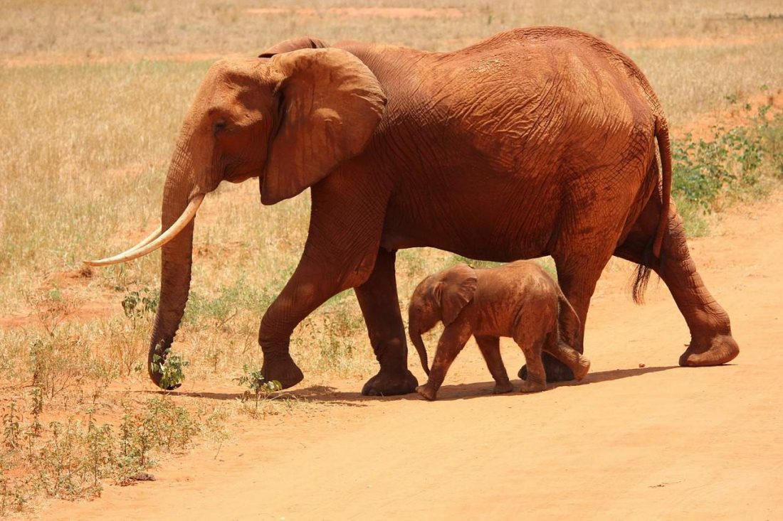 Kenya
