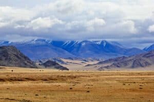 Mongolian Highlands, Mongolia