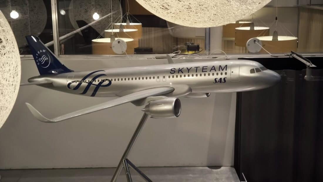 SAS SkyTeam model plane