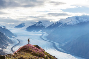Salmon Gletscher, Alaska