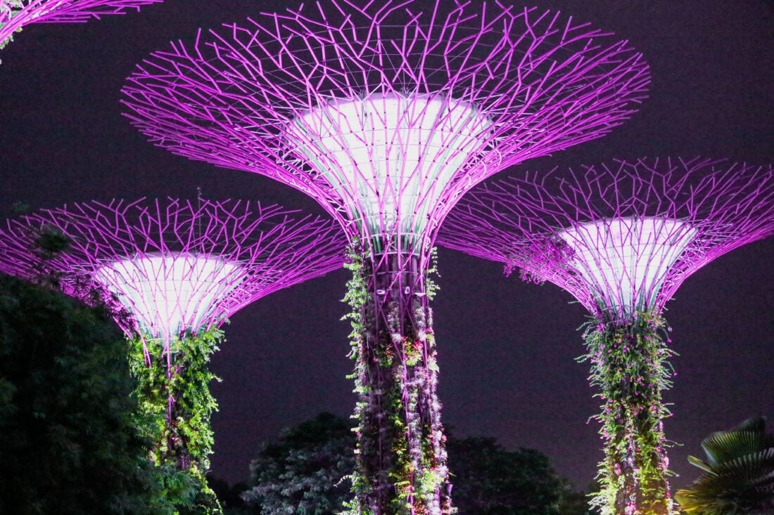 Singapore Gardens by the bay marina