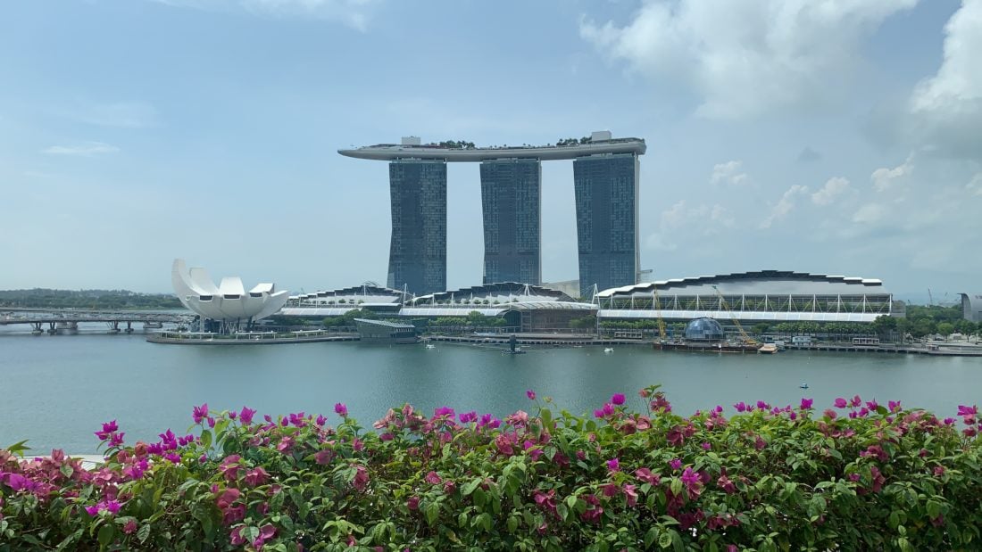Singapore MBS with Flowers