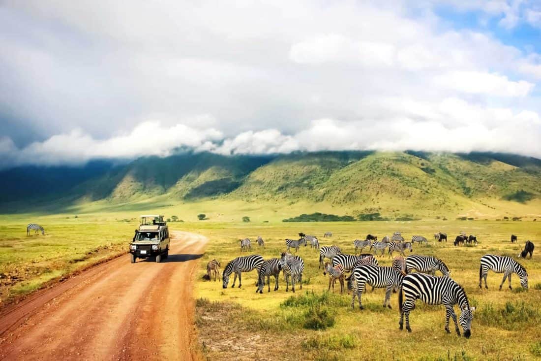 Ngorongoro Crater Nationalpark, Tanzania
