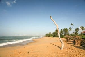 Strand Gambia