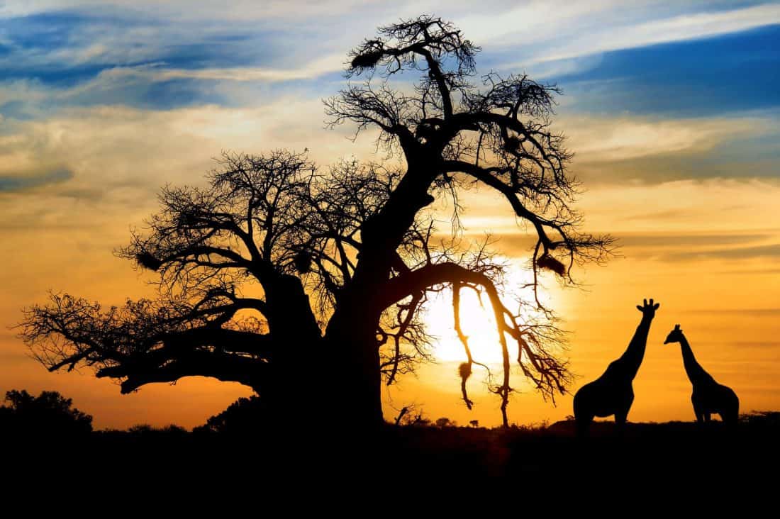 Südafrika