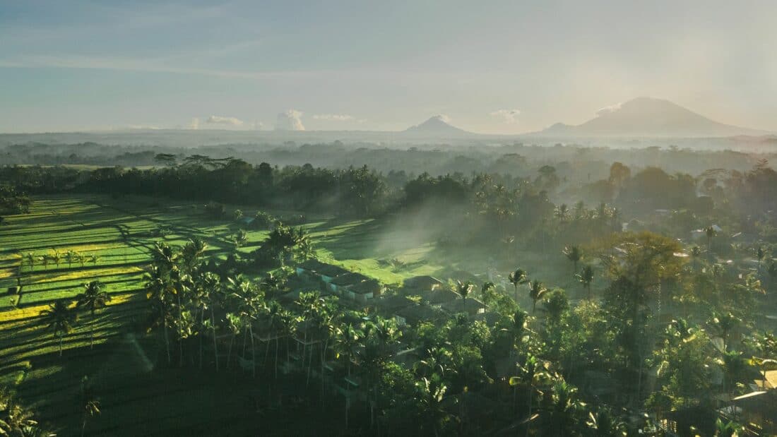 Kappa Senses Ubud