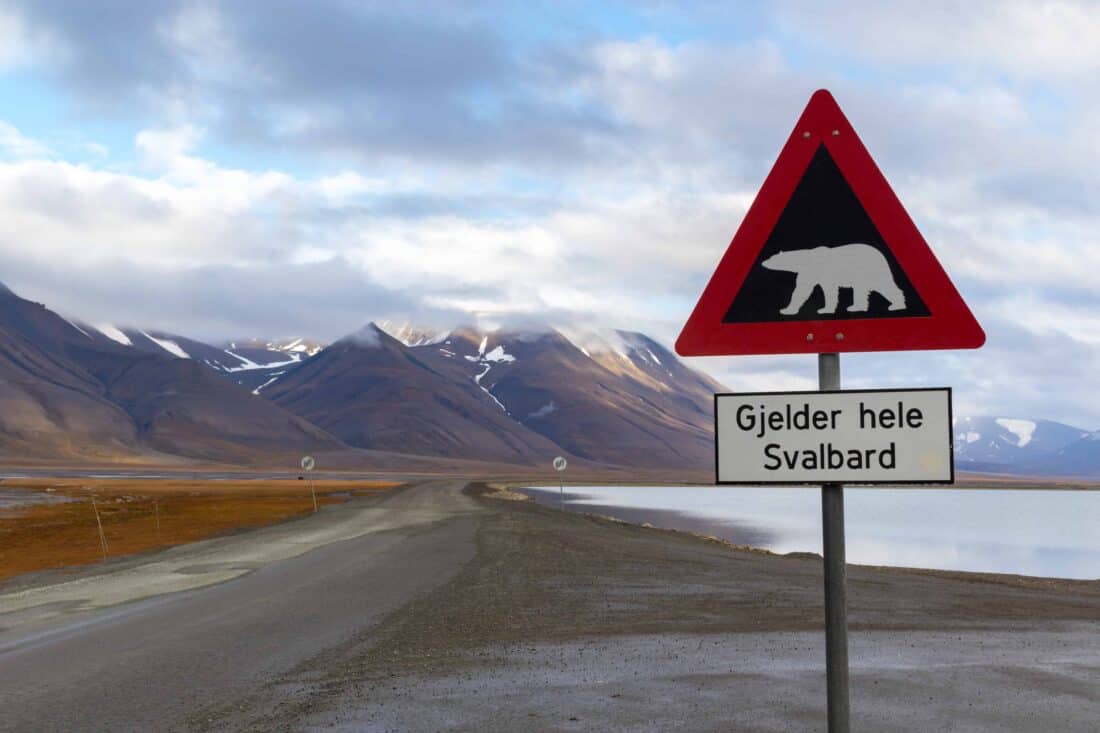 svalbard spitsbergen eisbaer schild
